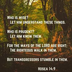 Hosea 14_9