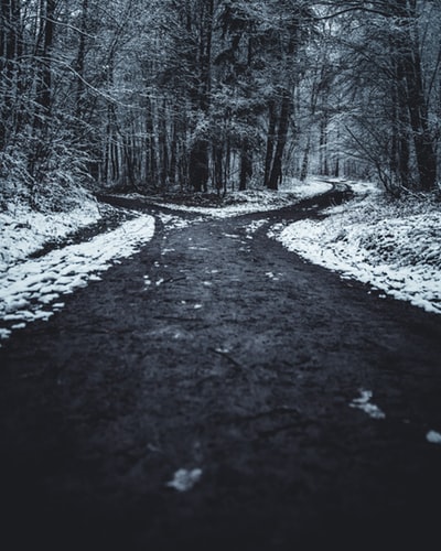 Split path with snow